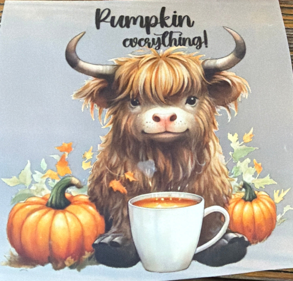 A square printed card or sticker featuring an illustrated Highland cow surrounded by pumpkins and a white mug, with the text 'Pumpkin, coothing!' on a rustic wooden surface.